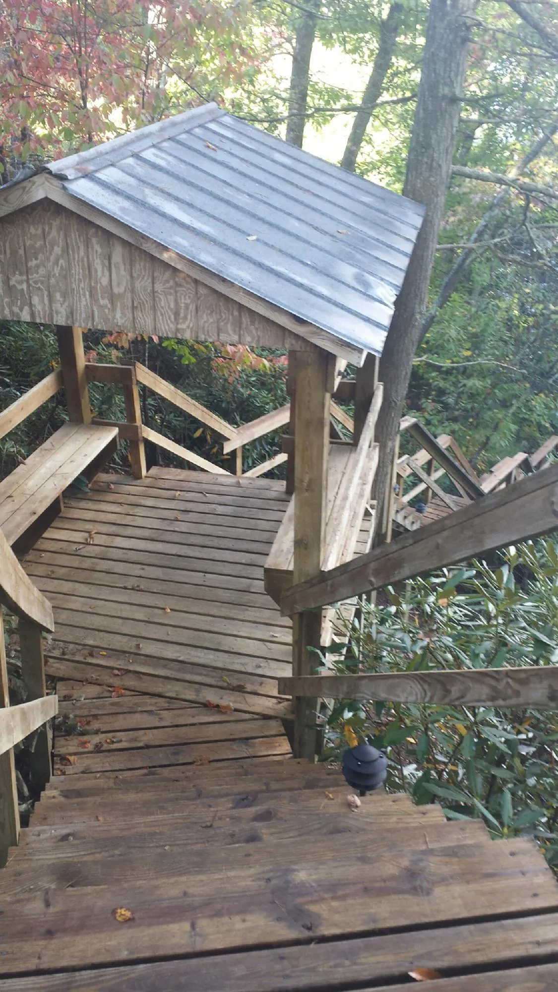 Metal roofed shelter over wooden steps on a wooded walkway — Skylight Repair & Installation work by our crew in Mountain View